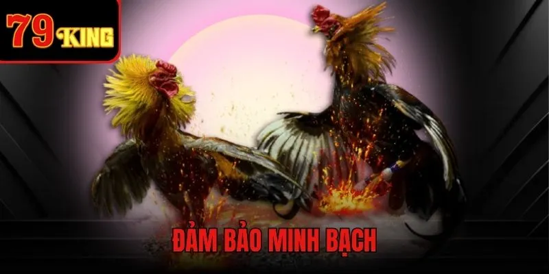 Uy tín và minh bạch