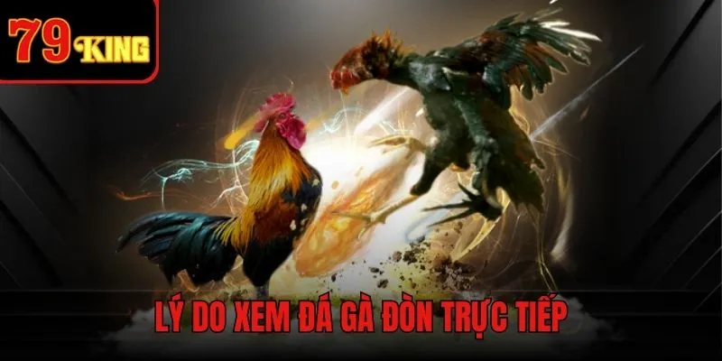 Ưu điểm khi xem đá gà đòn trực tiếp